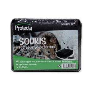 Poste d'appâtage souris - Protecta